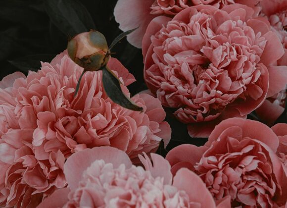 Artificial paper flowers blend creativity with sustainability